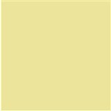 COLOURFUL DAYS COLOURBOARD 200GSM 510 X 640 CREAM