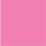 COLOURFUL DAYS COLOURBOARD 200GSM 510 X 640 PINK