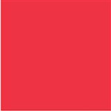 COLOURFUL DAYS COLOURBOARD 200GSM 510 X 640 CHERRY