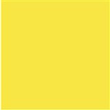 COLOURFUL DAYS COLOURBOARD 200GSM 510 X 640 LEMON